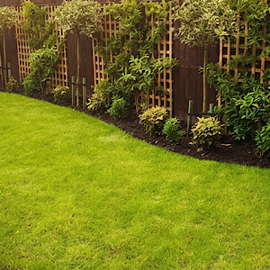 Alsager lawn Garden lawn with flower borders